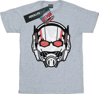Produktbild von Marvel - T-Shirt für Herren BI516 (3XL) (Grau)