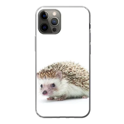 Produktbild von MuchoWow® Handyhülle Schutzhülle Hülle für iPhone 13 Pro Igel - Tiere - Weiß Silikon Softcase Handy Hülle - Handy-Tasche