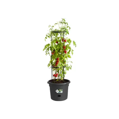 Obrázek produktu pro ELHO Obal Green Basics Tomato Pot 33 cm, černá