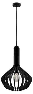 Productafbeelding van EGLO 900154, 1 lamp, E27 fitting, IP20, zwart