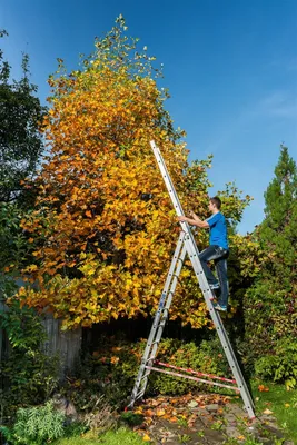 Produktbild von VENBOS Dreiteilige Leiter HOBBY 4410 3x10, 150kg