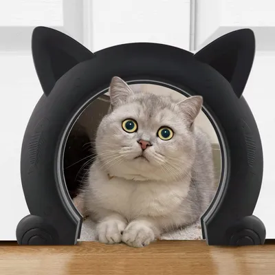 Image de Porte pour chat d'intérieur, adaptée aux chatons et aux petits chiens