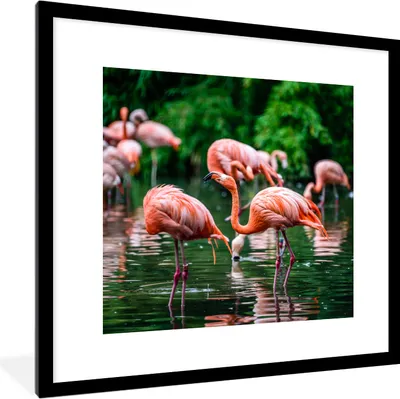 Produktbild von MuchoWow® Gerahmtes Poster Flamingo - Tropisch - Vogel - Wasser - Rosa 40x40 cm - Poster mit Schwarzem Bilderrahmen Wandposter Rahmen Foto Bilder - Poster - Plakat im Rahmen