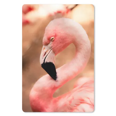 Produktbild von MuchoWow® Mauspad Mousepad Porträt eines rosa Flamingos 18x27 cm - Mousepads - Maus Mat - Pad - Mausunterlage