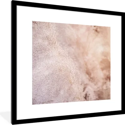 Produktbild von MuchoWow® MuchoWow® Gerahmtes Poster Pampasgras - Struktur - Pflanzen - Natur 40x40 cm - Poster mit zchwarzem Bilderrahmen - Poster - Plakat im Rahmen