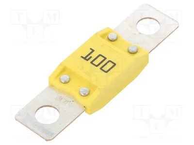 Image de 1 fusible : calibre 100A, 32V, pour véhicule automobile, référence 0615100. Fusibles pour véhicules, autres