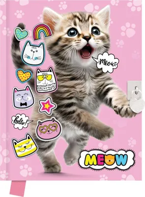 Immagine prodotto di Diario con lucchetto 80k 14x18cm Cat Meow