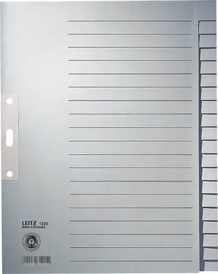 Produktbild von Register A4 blanko 100g/qm 20-teilig grau Packung mit 25 Stück