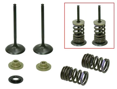 Obrázok produktu pre Sada vstupných ventilov pre Kawasaki KXF 250, modelové roky 2007-2008, oceľová, vrátane pružín a podložiek