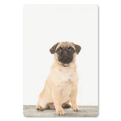 Produktbild von MuchoWow® Mauspad Mousepad Hund - Mops - Tiere - Jungen - Mädchen - Spaß für Kinder 18x27 cm - Mousepads - Maus Mat - Pad - Mausunterlage