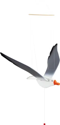 Image de Goéland railleur