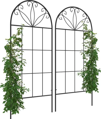 Image de Outsunny Treillis de jardin lot de 2 support pour plantes grimpantes en métal - 51 x 120 cm noir