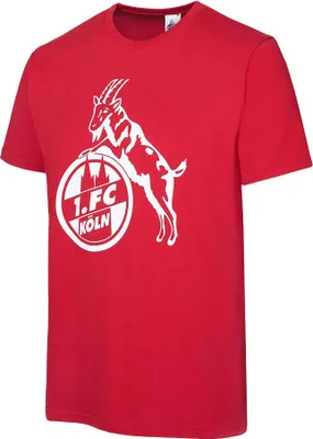 Produktbild von 1. FC Köln T-Shirt "Basic rot" Gr. 4XL