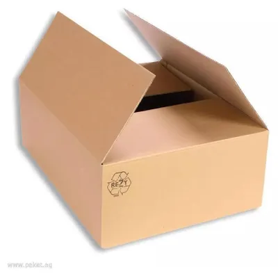 A brown cardboard box with its flaps open, set against a white background.