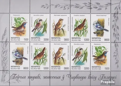 Produktbild von Briefmarken Weißrussland 1998 Mi 262-266 Kleinbogen (kompl.Ausg.) postfrisch Singvögel