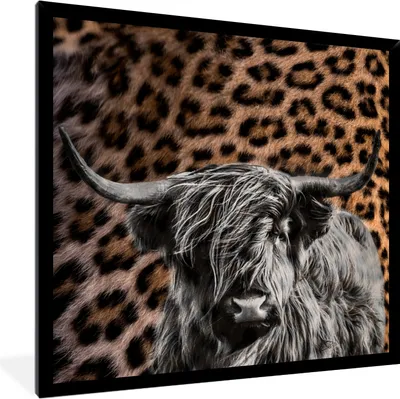 Produktbild von MuchoWow® Gerahmtes Poster Schottischer Highlander - Kuh - Pantherdruck 40x40 cm - Poster mit Schwarzem Bilderrahmen Wandposter Rahmen Foto Bilder - Mit Rahmen - Wanddekoration Schlafzimmer