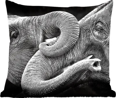 Produktbild von MuchoWow® Zierkissen Sofakissen Wohnzimmer Dekokissen 40x40 cm Umarmung von Elefanten auf schwarzem Hintergrund in Schwarz und Weiß - Foto Kissen - Schlafzimmer Dekoration