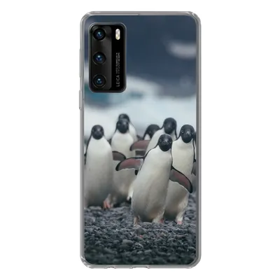 Produktbild von MuchoWow® Handyhülle Schutzhülle Hülle für Huawei P40 Adeliepinguine am Strand Silikon Softcase Handy Hülle - Handytasche