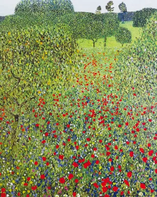Produktbild von Gustav Klimt Kunstdruck Bild - Mohnblumenwiese 1907,  (50 x 40 cm)