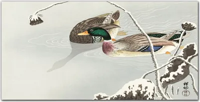 Produktbild von Coloray - Bild aus Glas - Glasbilder - 100 x 50 cm - Dekoration Wohnzimmer Wanddekoration Gehärtetes Glas Küche Glasblock mit Bild - Tiere Vögel Wasser