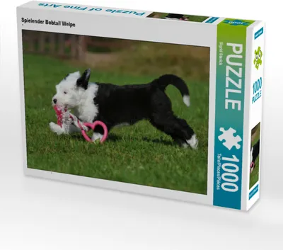 Produktbild von CALVENDO Puzzle Spielender Bobtail Welpe | 1000 Teile Lege-Größe 64x48cm Foto-Puzzle für glückliche Stunden