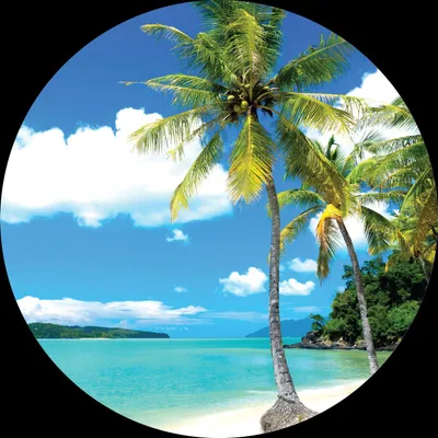 Produktbild von Sanders & Sanders selbstklebende runde Tapete tropische Landschaft mit Palmen Blau und Grün Ø 70 cm