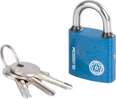 Produktbild von Schloss Blossom BC29 32 mm, Vorhängeschloss, Unique
