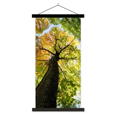 Produktbild von MuchoWow® Textilposter Baum - Natur - Wald 60x120 cm mit schwarzem Rahmen - Magnete