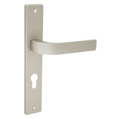 A door handle set with a keyhole escutcheon plate, shown against a white background.
