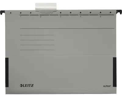 Productafbeelding van LEITZ ALPHA, handtas, A4, met vakken, grijs
