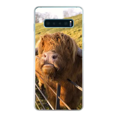 Produktbild von MuchoWow® Handyhülle Schutzhülle Hülle für Samsung Galaxy S10 Lite Scottish Highlander - Zaun - Gras Silikon Softcase Handy Hülle - Schutz