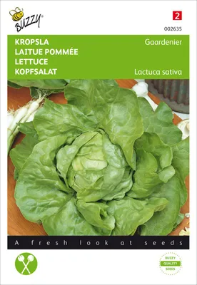 Produktbild von Kopfsalat Gärtnerstolz Du Bon Jardinier | Kopfsalatsamen von Buzzy Seeds