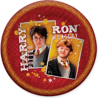 Produktbild von Papp-Teller Harry Potter 23 cm 10 Stück Partyteller zum Kindergeburtstag, Mottoparty