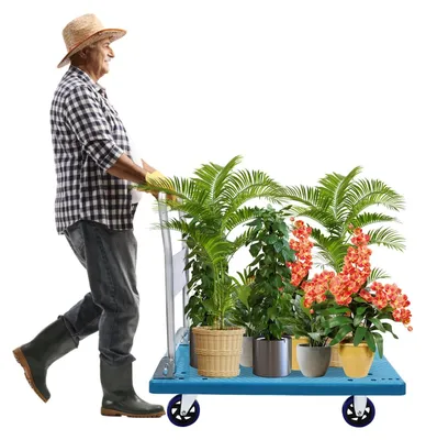 Image de Chariot de transport pliable, capacité de 300 kg