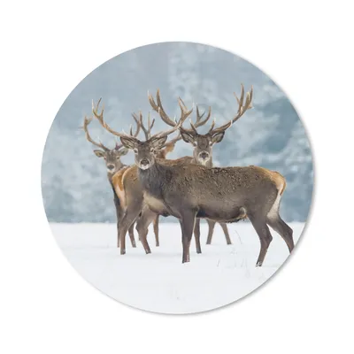 Produktbild von MuchoWow® Mauspad Mousepad Hirsche - Tiere - Schnee - Winter - Landschaft - Natur 50x50 cm - Mousepads - Maus Mat - Pad - Mausunterlage - Vinyl