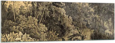 Produktbild von Bilder auf glas - Einteilig - Dschungel Eingeborene Fluss - 160x50cm - Glasbilder - Wandbilder - Bilder - Wanddekoration aus Glas - Glas Bilder - Wandbild auf Glas - GAB160x50-4406