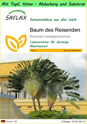 Produktbild von SAFLAX Garden to go - Baum des Reisenden - Ravenala madagascariensis - 8 Samen - Mit Topf, Klima - Deckel und Anzuchtsubstrat