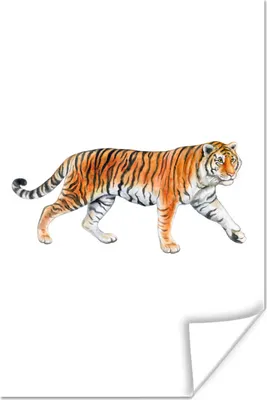 Produktbild von MuchoWow® Poster Tiger - Weiß - Orange 120x180 cm - Kunstposter