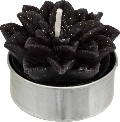 Produktbild von 4er-Set schwarze Weihnachtsstern-Teelichter, 88 g