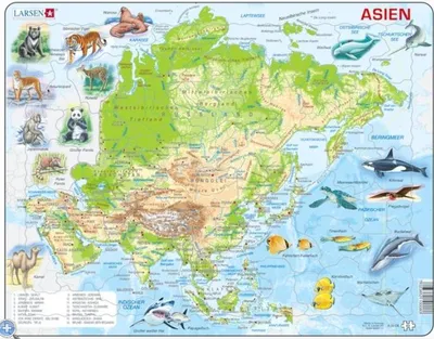 Produktbild von Puzzle - Asien (physisch)