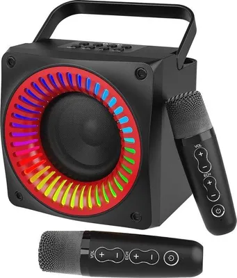 Zdjęcie produktu dla Przenośne urządzenie do karaoke z 2 mikrofonami i kolorowymi światłami