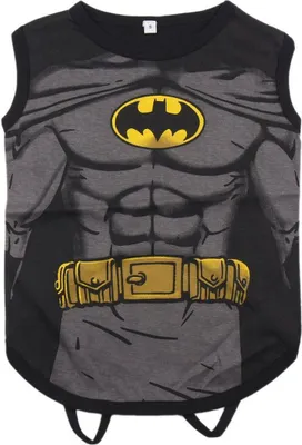 Produktbild von T-Shirt für Hunde Batman - XS