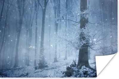 Produktbild von MuchoWow® Poster Wald - Winter - Schnee 120x80 cm - Bilder