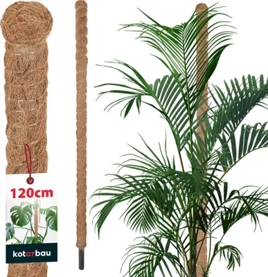 Obrázok produktu pre KOTARBAU® Machová tyč pre Monsteru Kokosová tyč Prírodná ⌀ 3,2 x 120 cm Tyč na rastliny Opora pre rastliny Monstera Kokosová tyč Tyč na rastliny Tyč na rastliny Machová tyč Monstera Opora pre rastliny Kvetinová tyč Machová tyč
