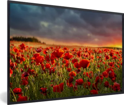 Produktbild von MuchoWow® Gerahmtes Poster Sonnenuntergang über einem Feld von Mohnblumen 90x60 cm - Poster mit Schwarzem Bilderrahmen Wandposter Rahmen Foto Bilder - Fotorahmen - Foto-Plakat
