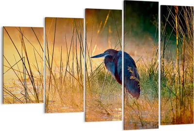 Produktbild von Bild auf Leinwand - Leinwandbild - Vogel Natur Wasser - 150x100cm - Wand Bild - Wanddeko - Leinwanddruck - Bilder - Kunstdruck - Wanddekoration - Leinwand bilder - Wandkunst - EG150x100-3708