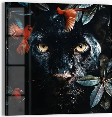 Produktbild von DEQORI Glasbild Echtglas 50x50 cm 'Verborgene Raubkatze' Wandbild Bild modern Deko