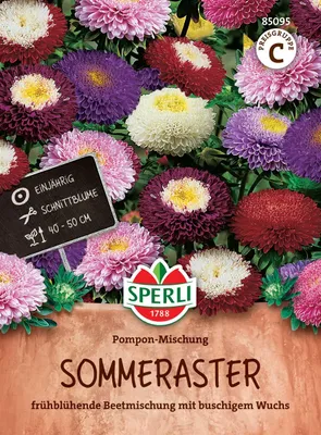 Produktbild von SPERLI Asternsamen Pompon Callistephus chinensis 80 Pflanzen
