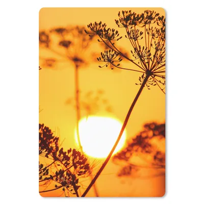 Produktbild von MuchoWow® Mauspad Mousepad Pflanzen - Blumen - Sonnenuntergang - Orange 18x27 cm - Mousepads - Maus Mat - Pad - Mausunterlage
