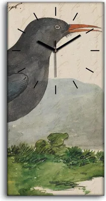 Produktbild von Wandkunst Leinwand Bild Uhr Geräuschlos 30x60 Vögel Wild Tiere Zeichnung Kunst - schwarze Hände
